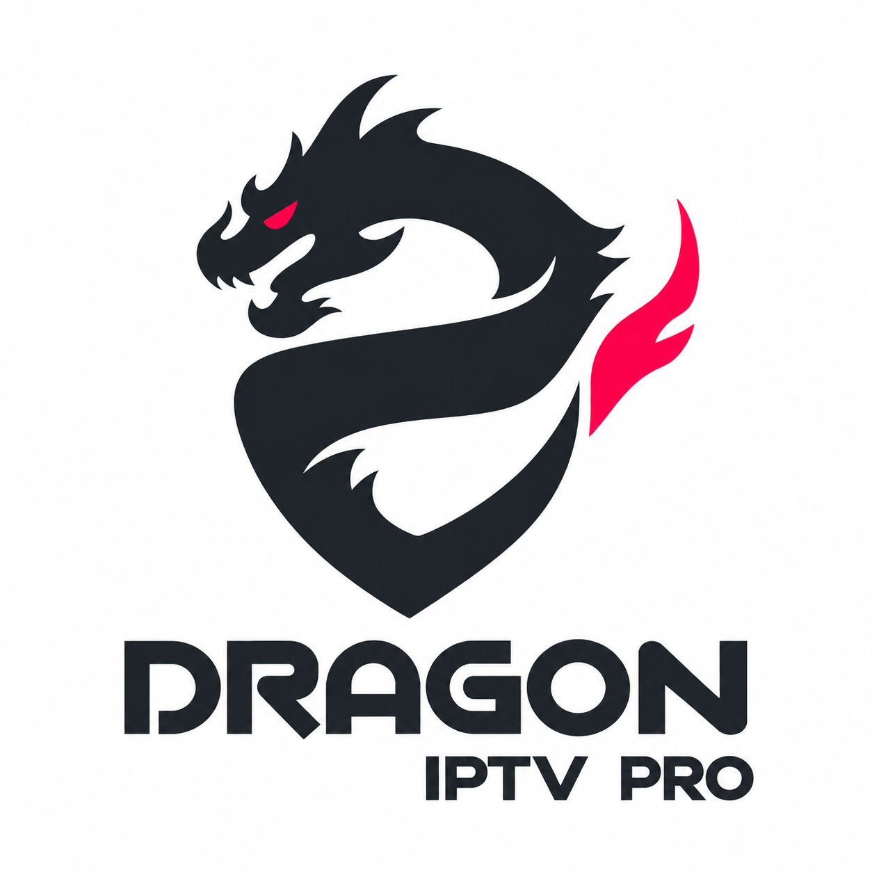 dragonpro logo
