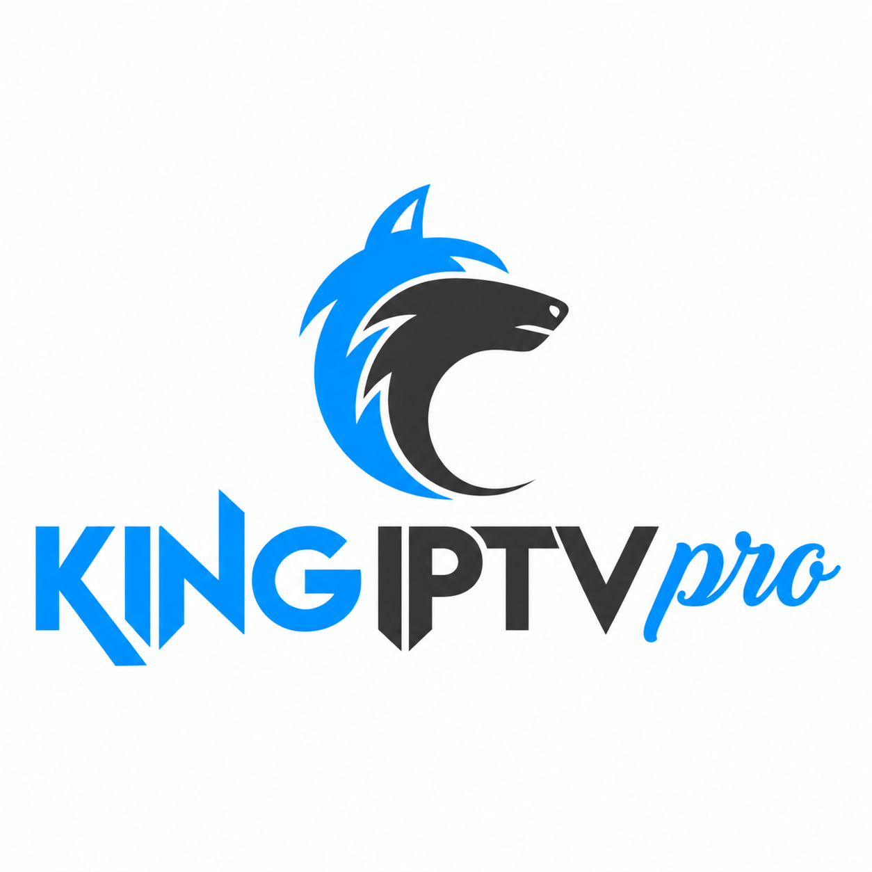 kingpro logo
