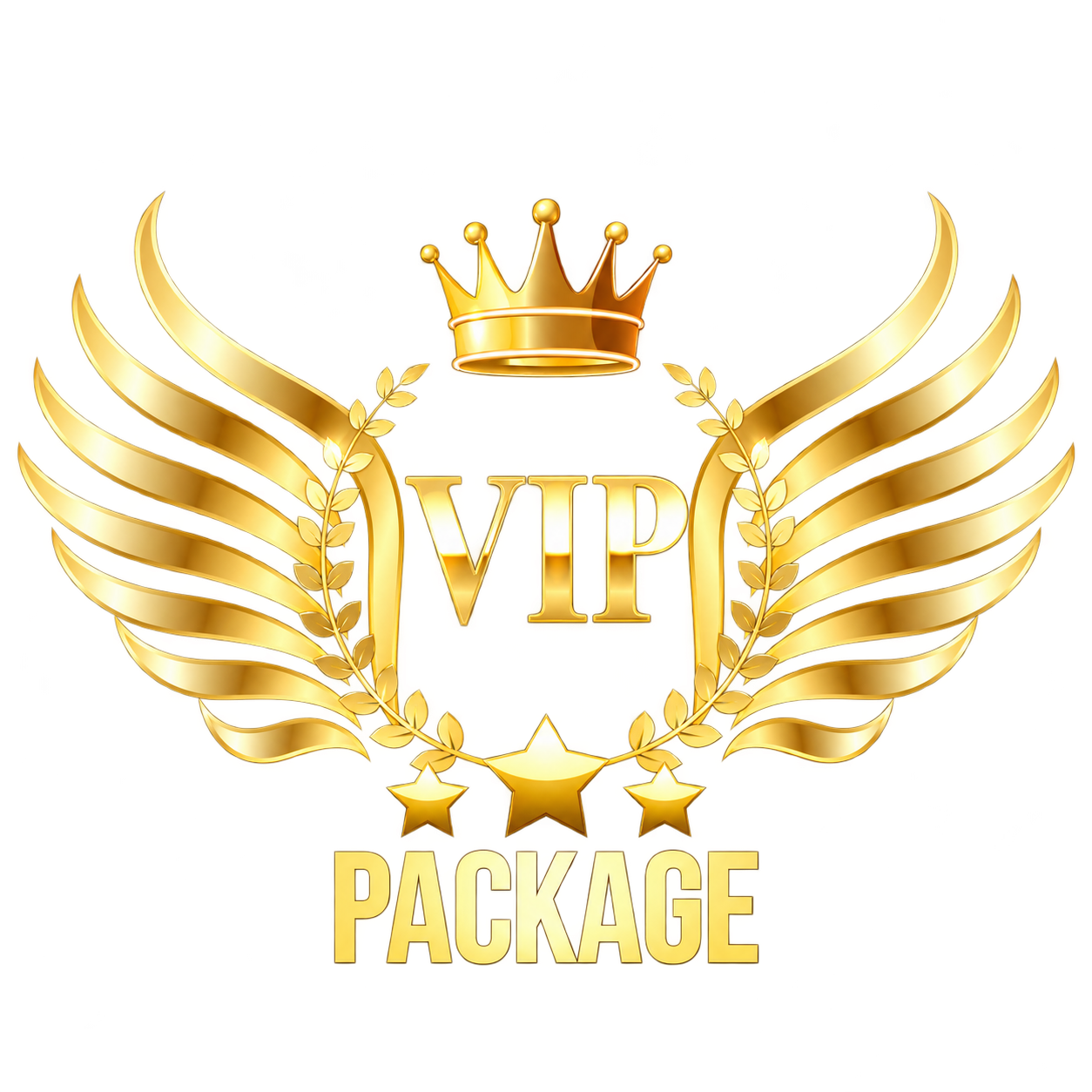 vip-package logo