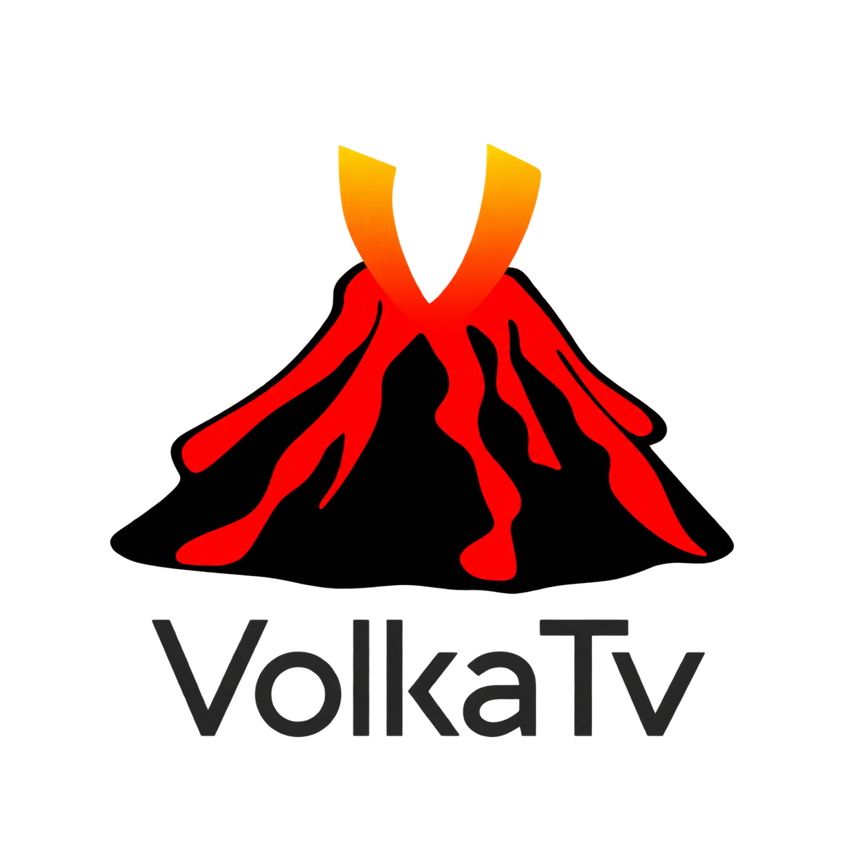 volka logo