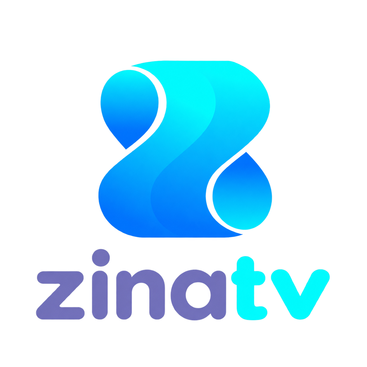 zinatv logo